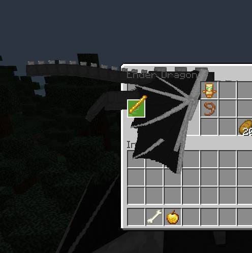 Инвентарь дракона