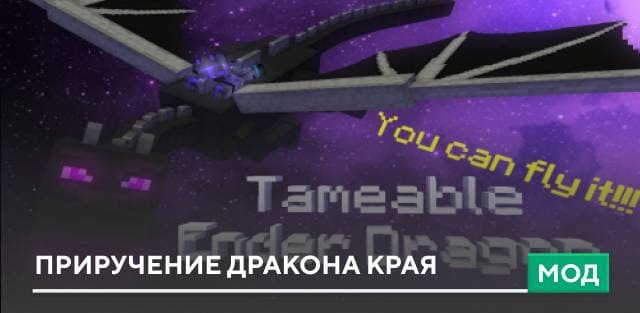 Мод: Приручение дракона Края