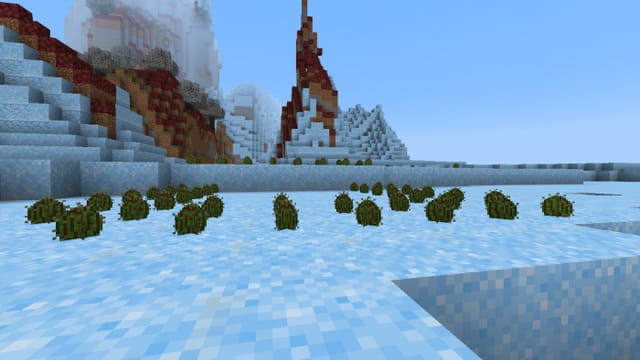 Бизнага растение