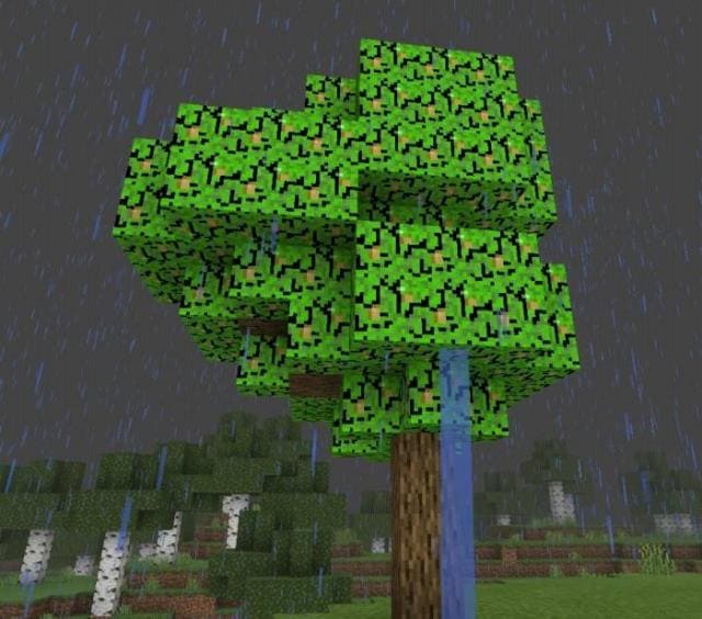 Дерево с фруктами