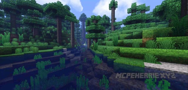 Небольшая траншея в лесу