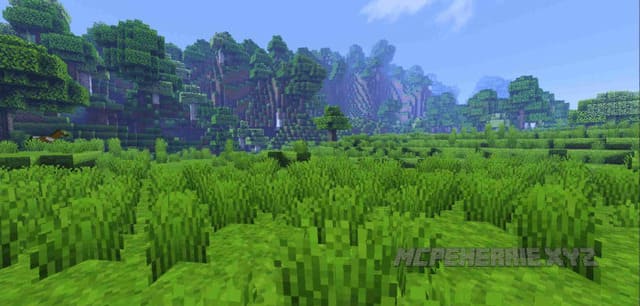 Травянистый массив