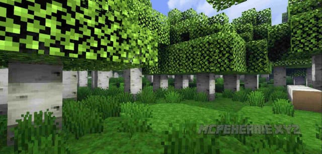 Листва в лесу