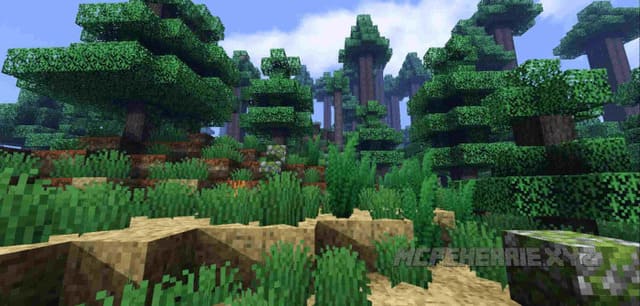 Лесной массив