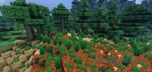 Биом с применением дополнительных сборок