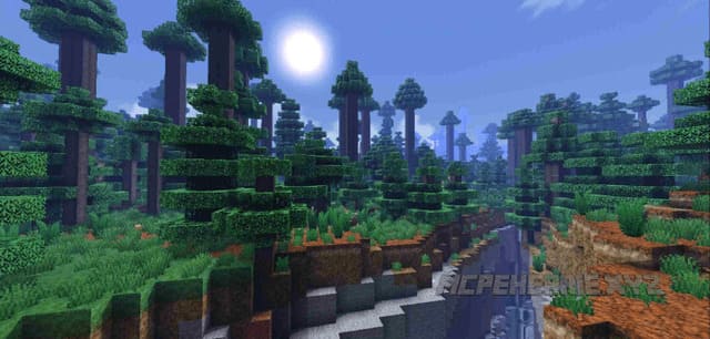 Овраг в лесу