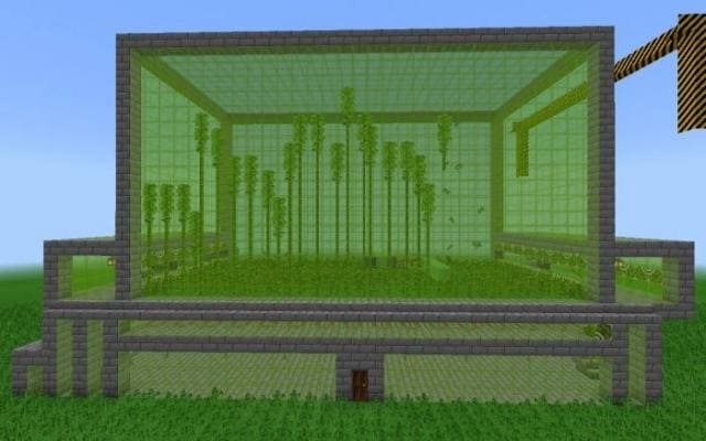 Мега-бамбуковая ферма