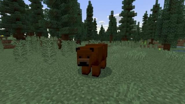 Медведь гризли