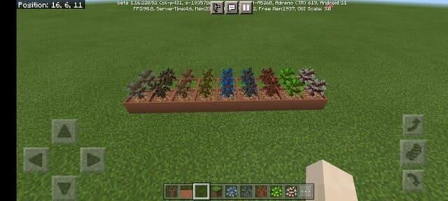 Различные растения