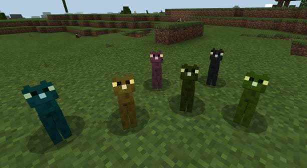 Огуречный кот