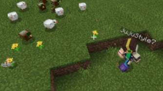 Утки рядом с игроком