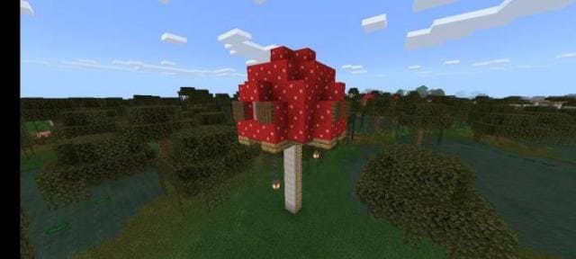 Грибной дом в болоте