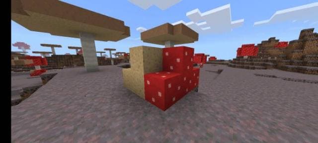 Грибной куст