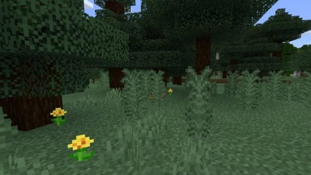 Шевелящиеся растения