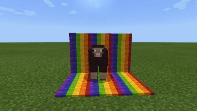 Радужная шерсть