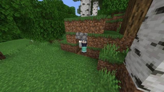 Игрок проходит через отверстие в полтора блока