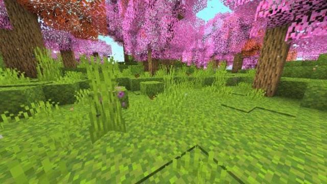 Биом с обширной зеленью