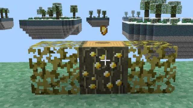 Золотой дуб