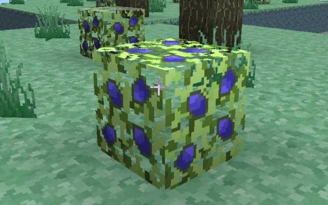 Ягодный куст