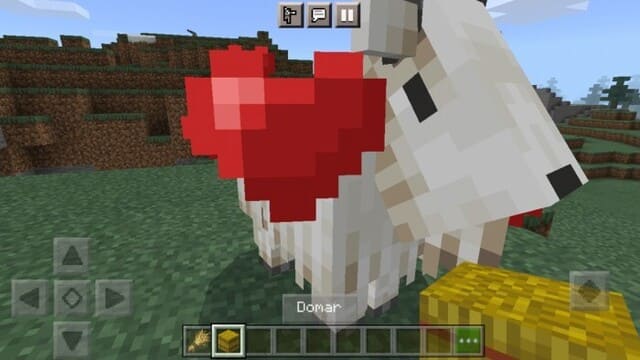 Кормление козы