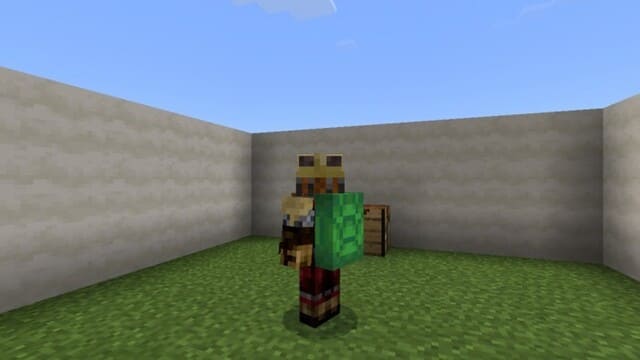 Игрок с черепашьей сумкой