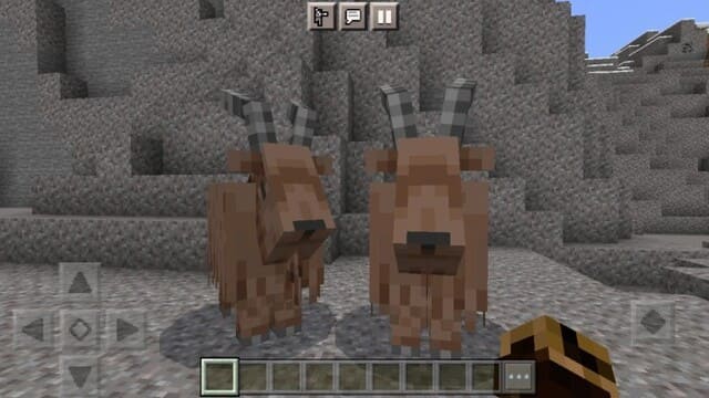 Горные козлы