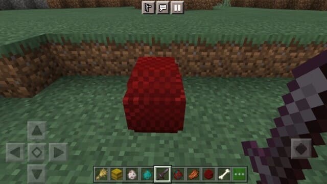 Яйцо дракона на земле