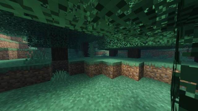 Тень под деревьями