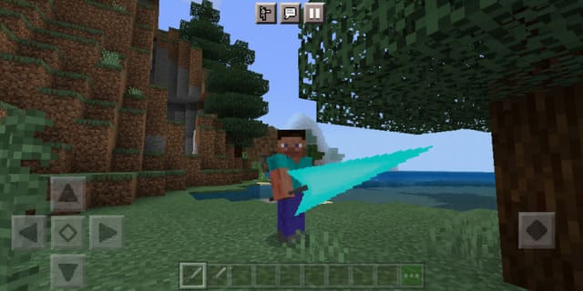 Z-Сабля у игрока