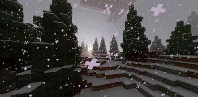 Снежный лесной биом