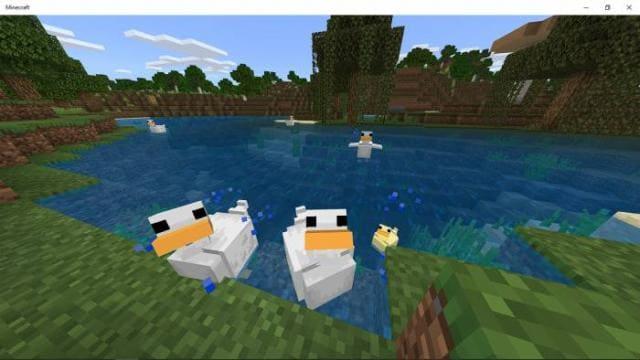 Утки на пруду