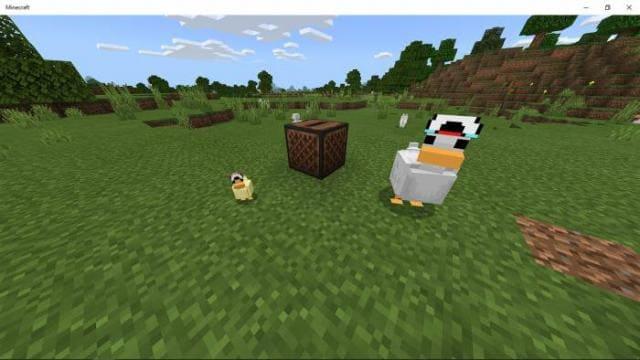 Утки на поле