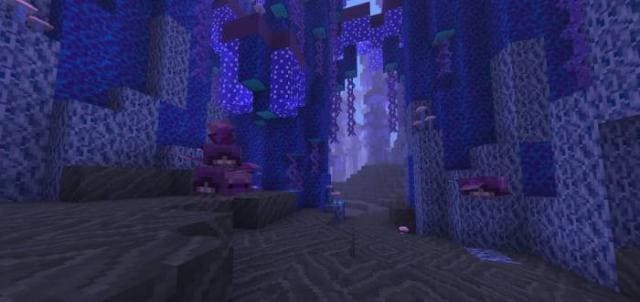 Гигантские грибы