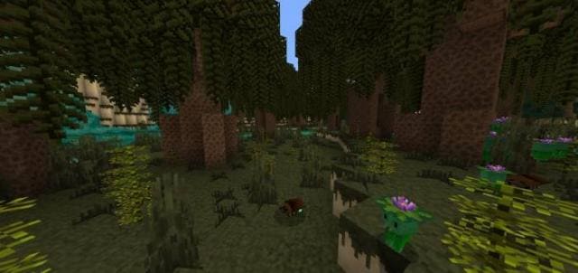 Ракенские топи