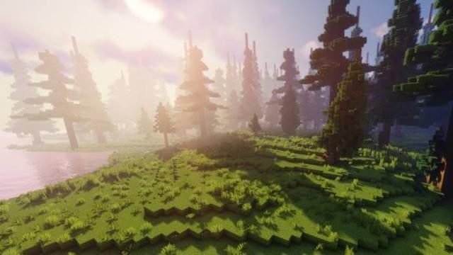 Яркое солнце в лесу