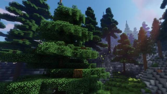 Листва деревьев