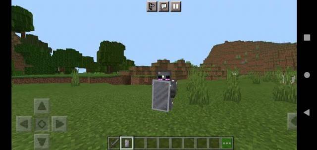 Пользователь защищается щитом