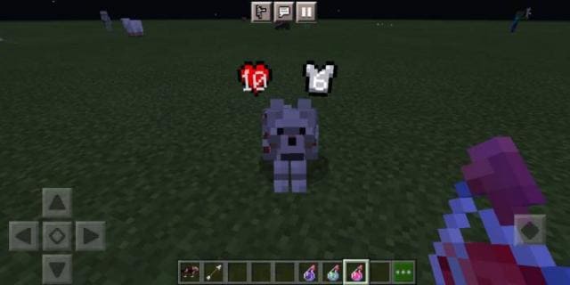 Здоровье над головой волка