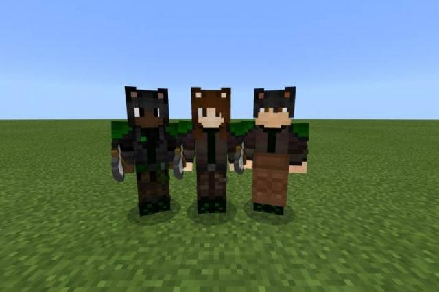 Защитники Фелина