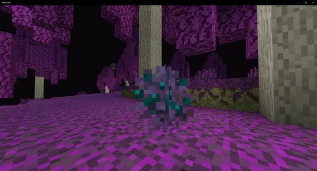 Ягодный куст Края