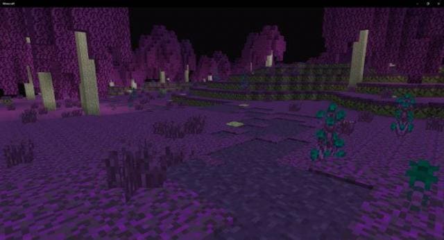 Дорожки и грядки из травы Края