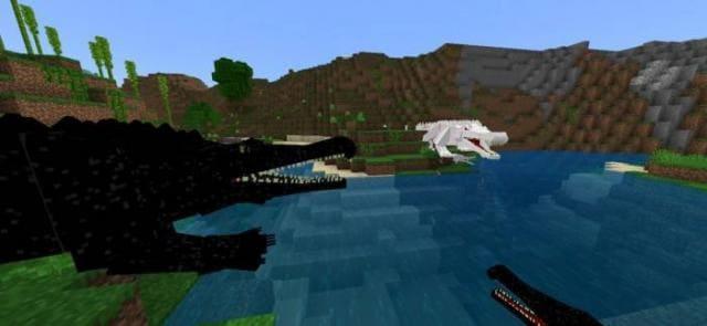 Саркозух черный