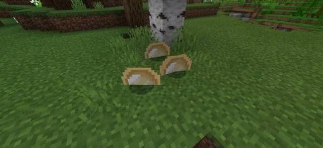 Яйца динозавров