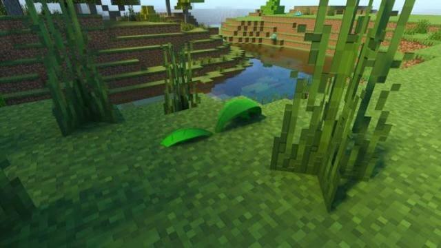 Травяной слизень