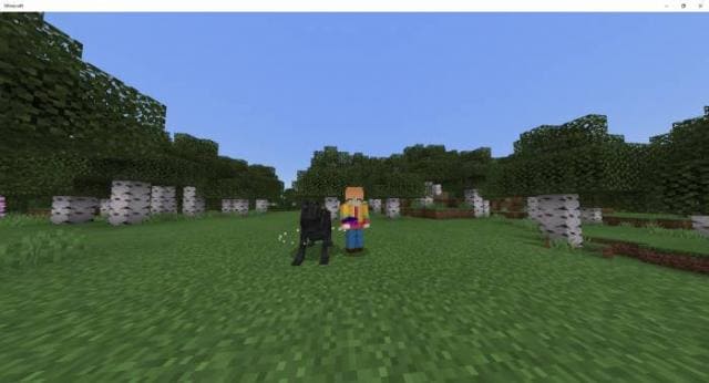 Божественная собака в игре