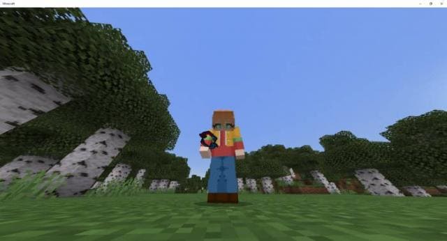 Обратная техника