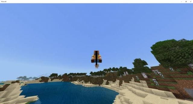 Метла Нисимии