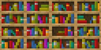 Вид книжной полки