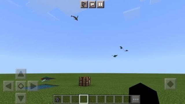 Океанические флиши в полете