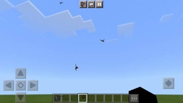 Океанические флиши летают в небе